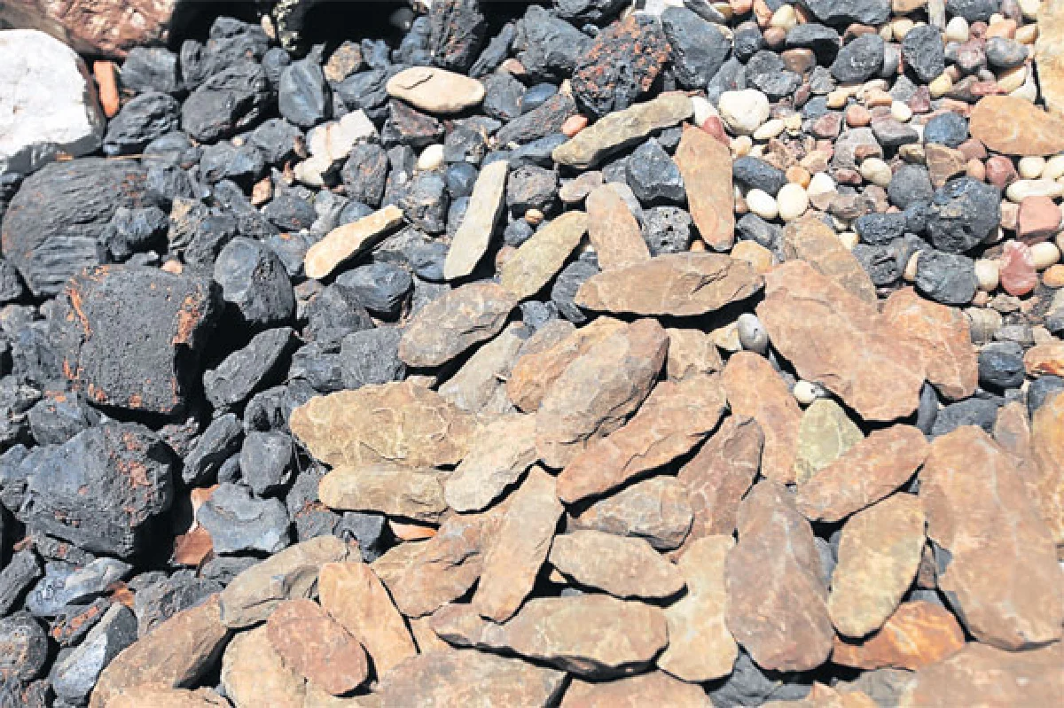 ฟอสซิลกลายเป็นหินสะเก็ดดาวตก ของสะสมสุดล้ำของ สรรค์ สุขุขาวดี