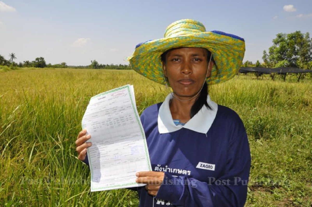 Coup! (updated Monday)