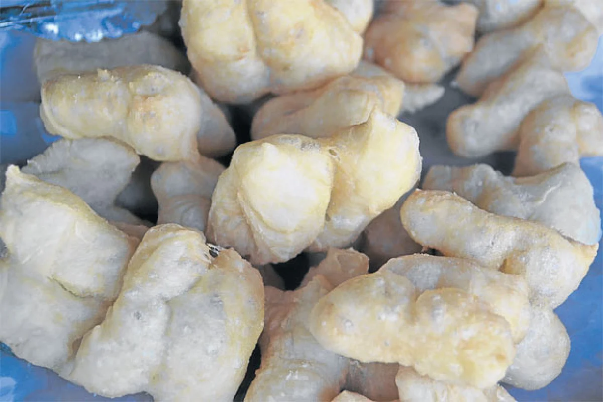 จักรภัทร สะพานหิน ปาท่องโก๋ถูกปาก ราคาประหยัด