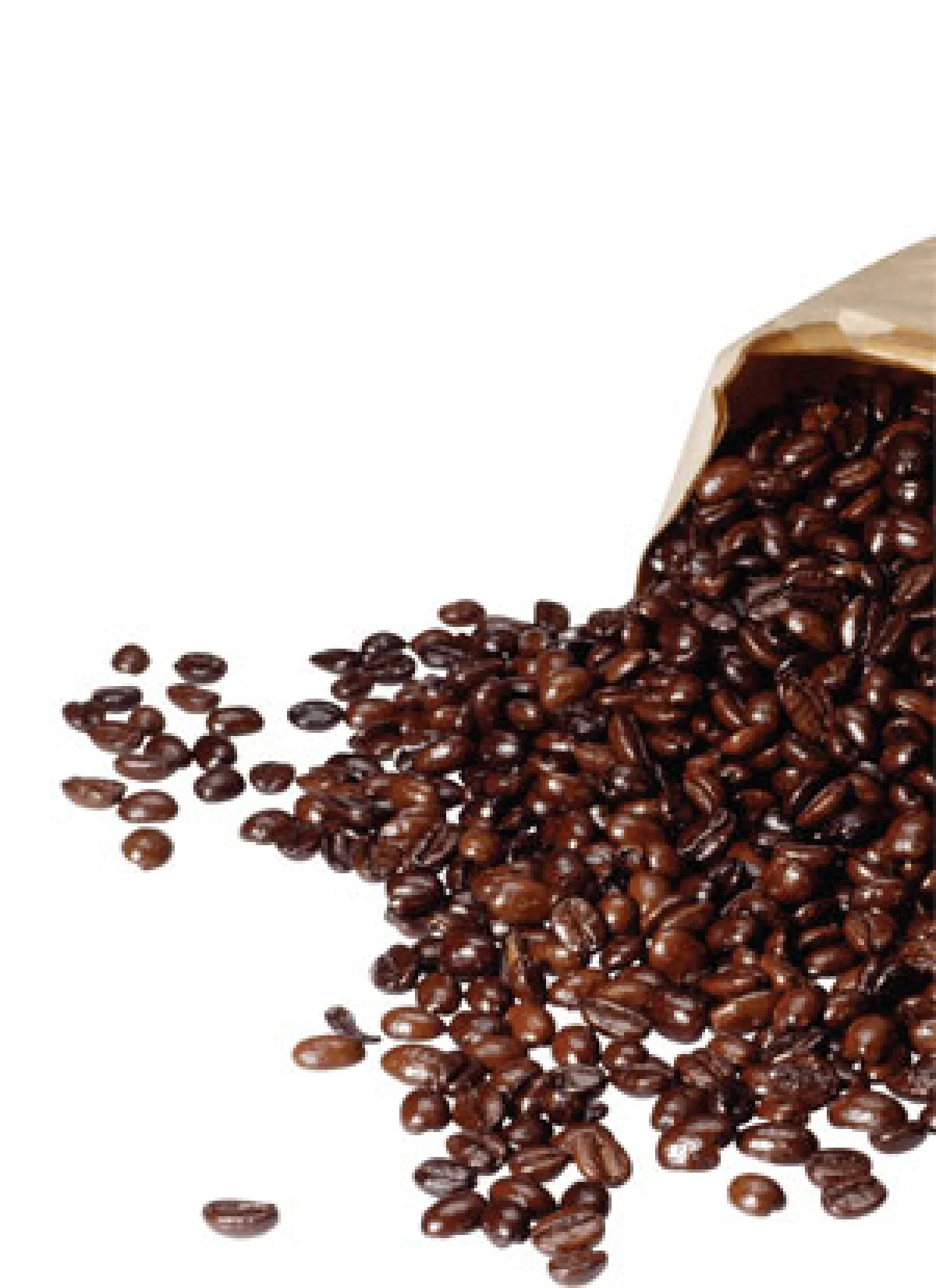 ‘เหลื่อง ลิดดัง’ ชีวิตที่เริ่มจากดินสู่ดาว