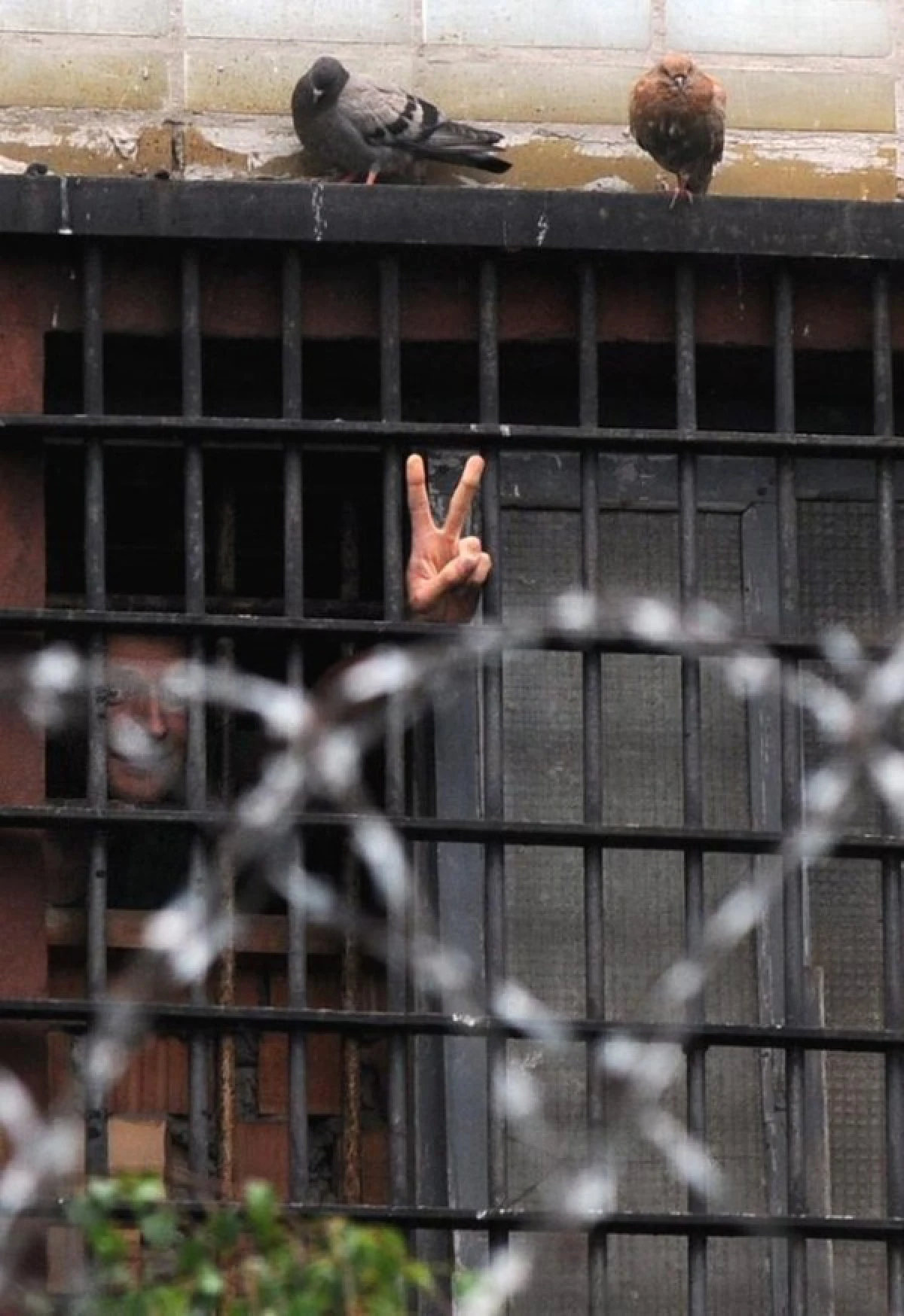 5สัญญาณมือทั่วโลกที่"ทำแล้วโดนจับ"