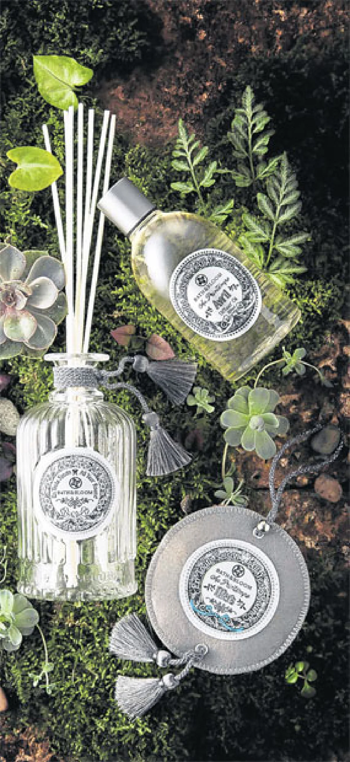 เลือกกลิ่นให้เข้ากับฤดูกาล