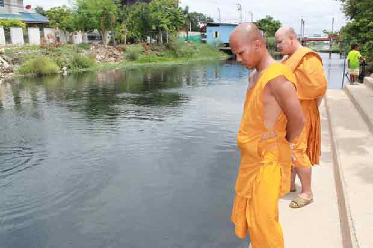 คลองหลังวัดสายไหมน้ำเน่าปลาตายอื้อ คลองหลังวัดสายไหมน้ำเน่าปลาตายอื้อ