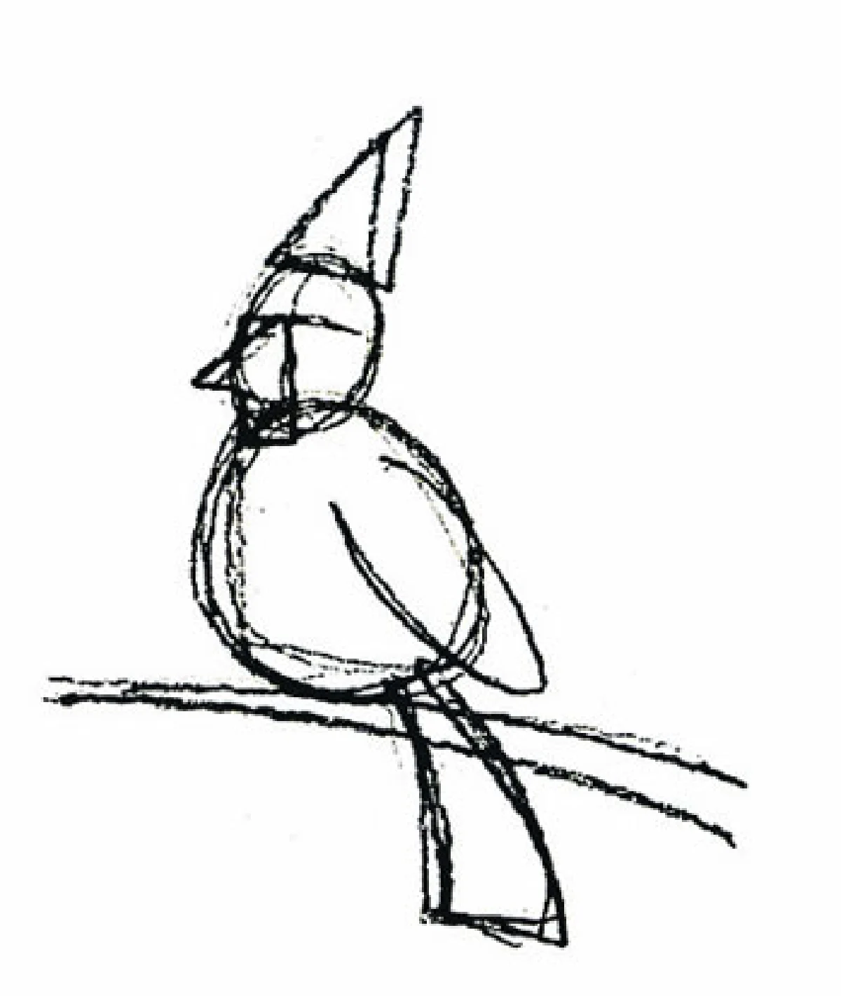 นกปรอดหัวโขน เจ้าของเสียงอันไพเราะ