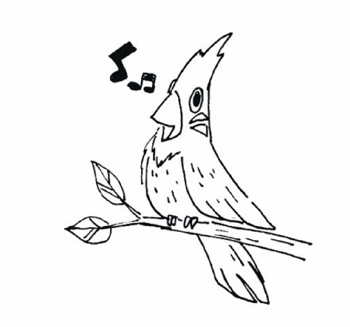 นกปรอดหัวโขน เจ้าของเสียงอันไพเราะ