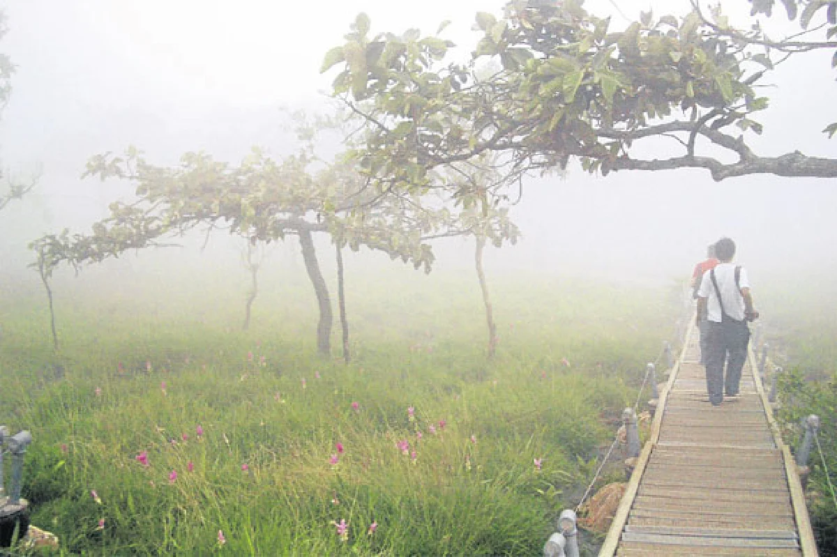 3 เหตุผล หน้าฝน น่าเที่ยว