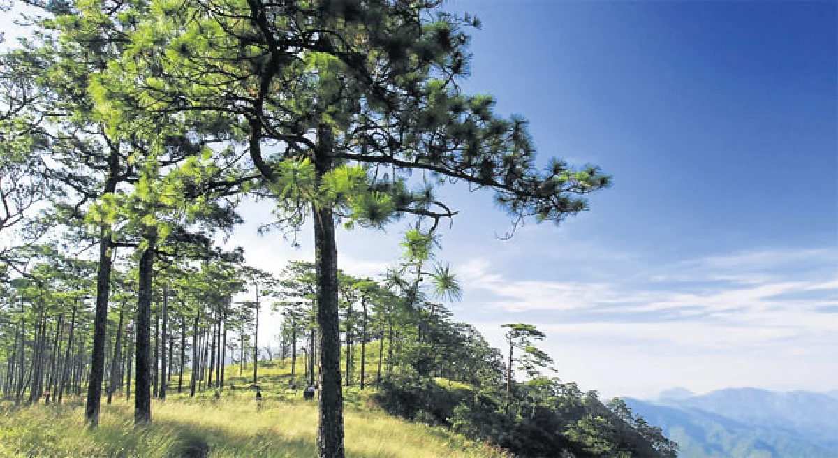 3 เหตุผล หน้าฝน น่าเที่ยว