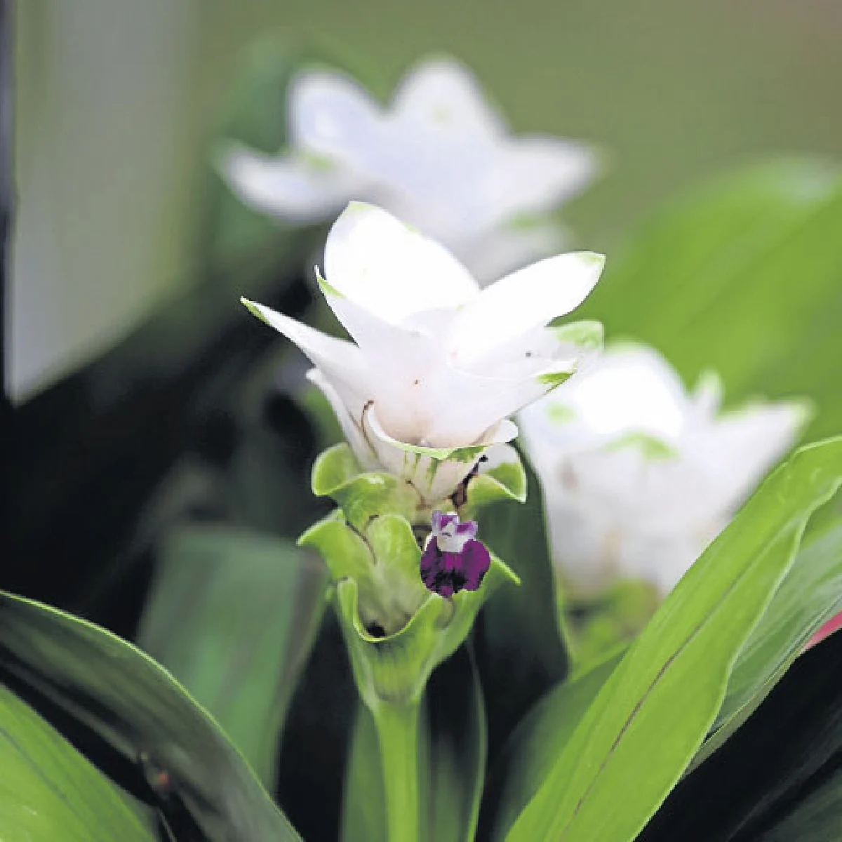 3 เหตุผล หน้าฝน น่าเที่ยว