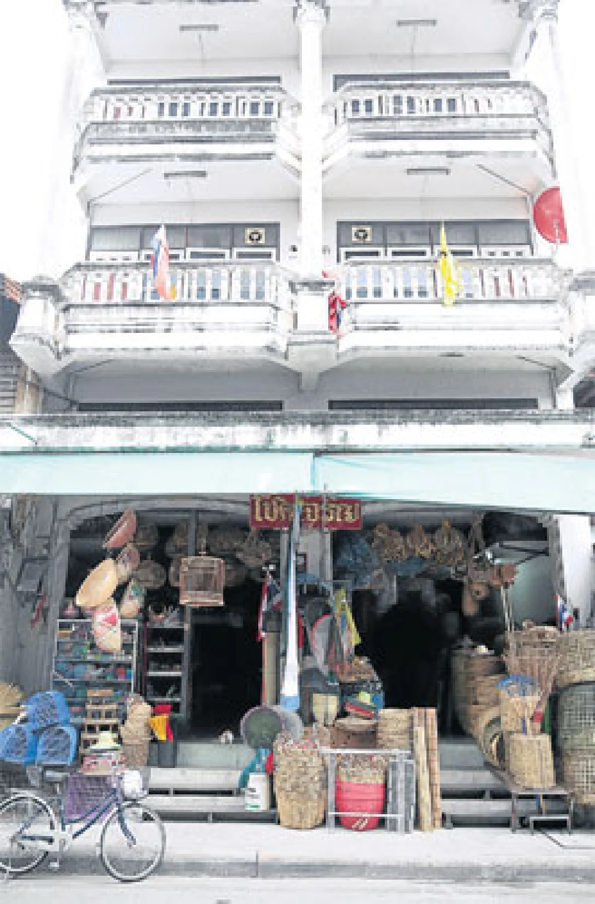 พิกุลถึงซากุระ