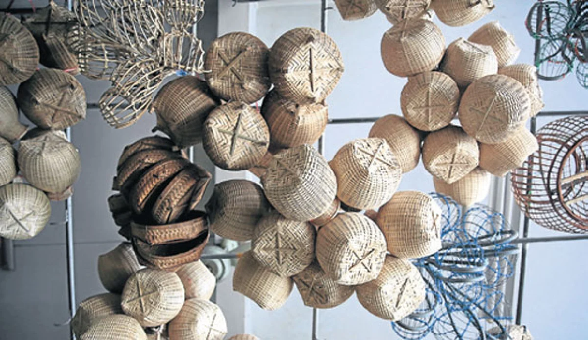 พิกุลถึงซากุระ