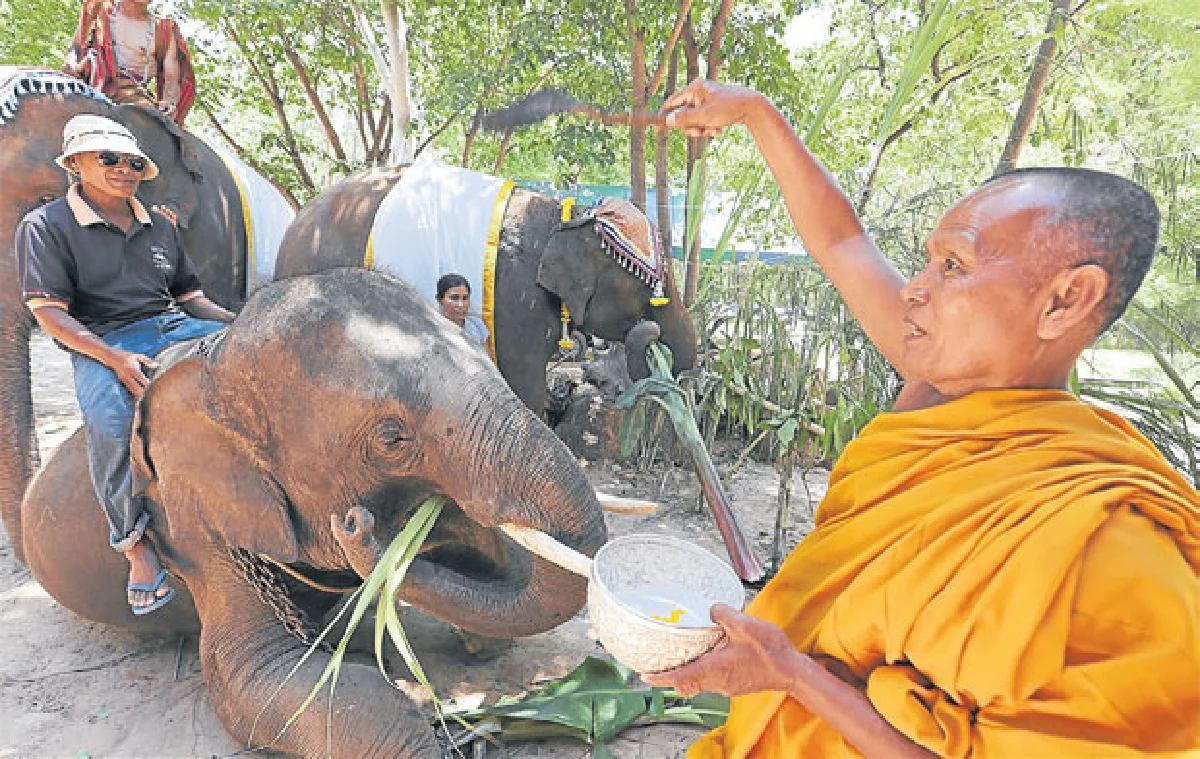 ฤๅจะเป็นประชิสุดท้าย?