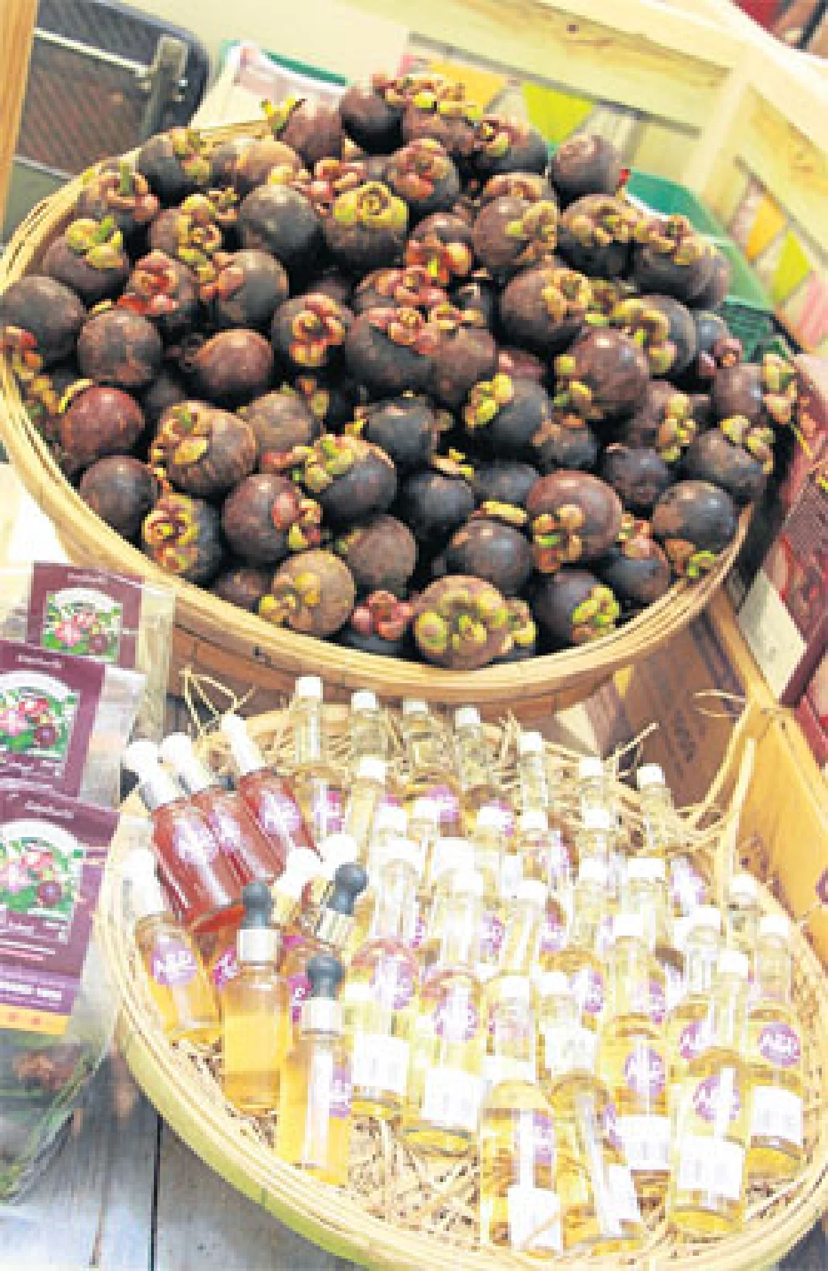 มังคุดอินทรีย์ของดีเมืองตราด