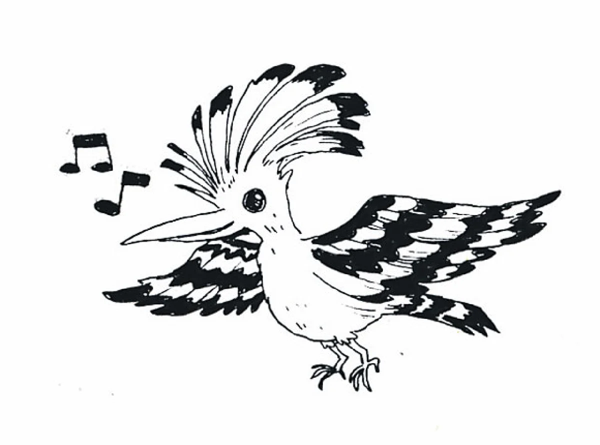 นกกะรางหัวขวาน เจ้าของเสียง ฮูป-ฮูป-ฮูป