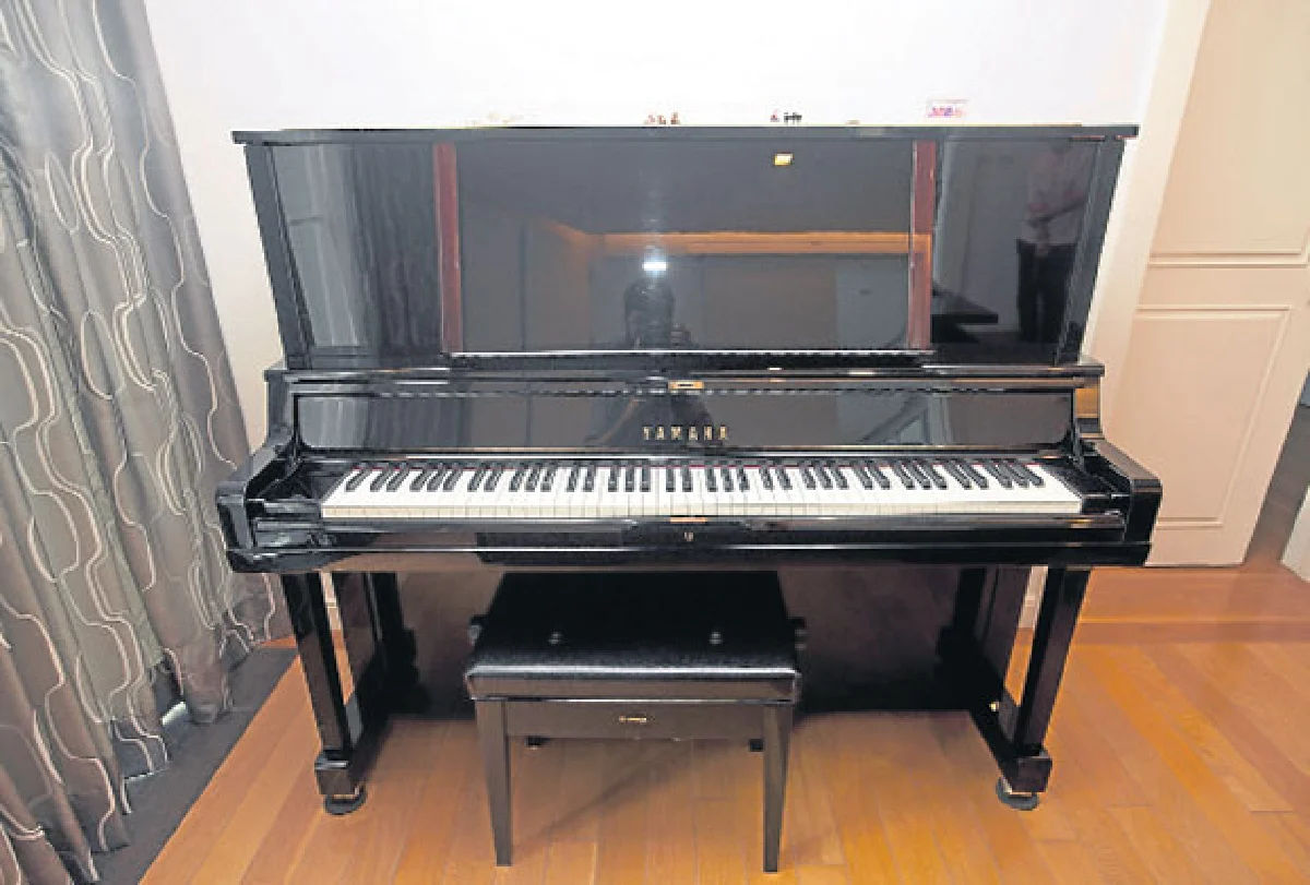 ศ.ดร.ณัชชา พันธุ์เจริญ ผู้มีดนตรีและศิลปะในหัวใจ