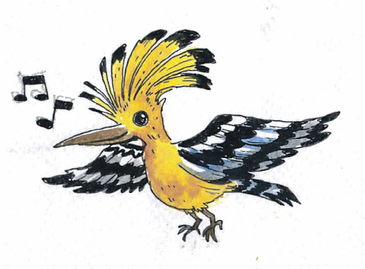 นกกะรางหัวขวาน เจ้าของเสียง ฮูป-ฮูป-ฮูป