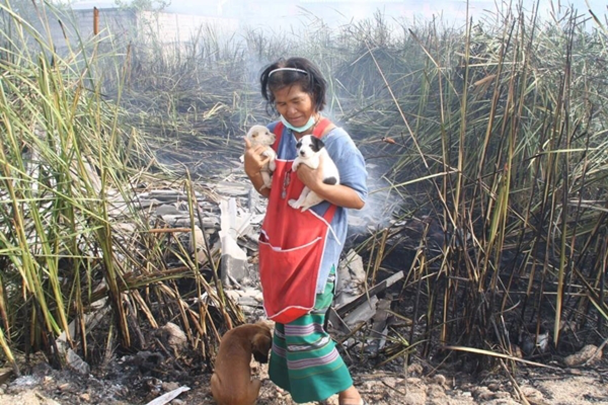 ชาวเน็ตชื่นชมแม่ค้าชะอำลุยไฟช่วยน้องหมา