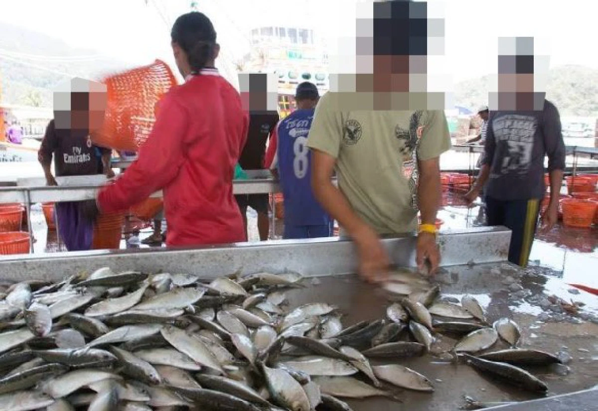 ชีวิตต้องสู้ของ"แรงงานเด็กข้ามชาติ"