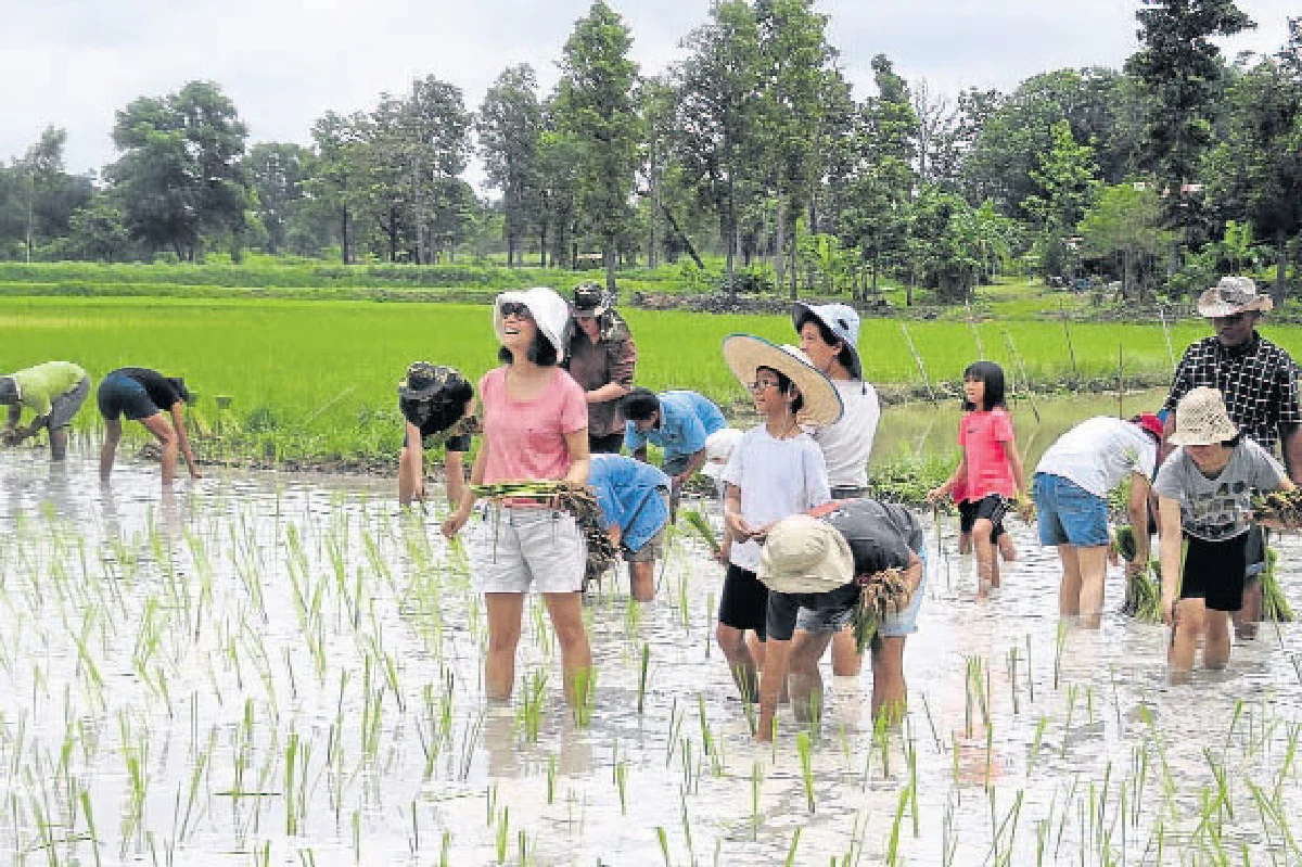 เมื่อคนกินข้าวกับชาวนา สัญญาเป็นเพื่อนกัน