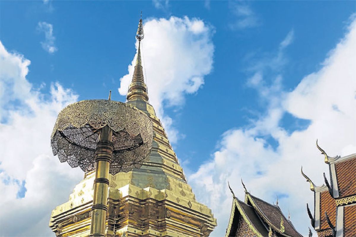 ผีเสื้อตัวใหญ่–เชียงใหม่สวยจัง ผีเสื้อตัวใหญ่–เชียงใหม่สวยจัง