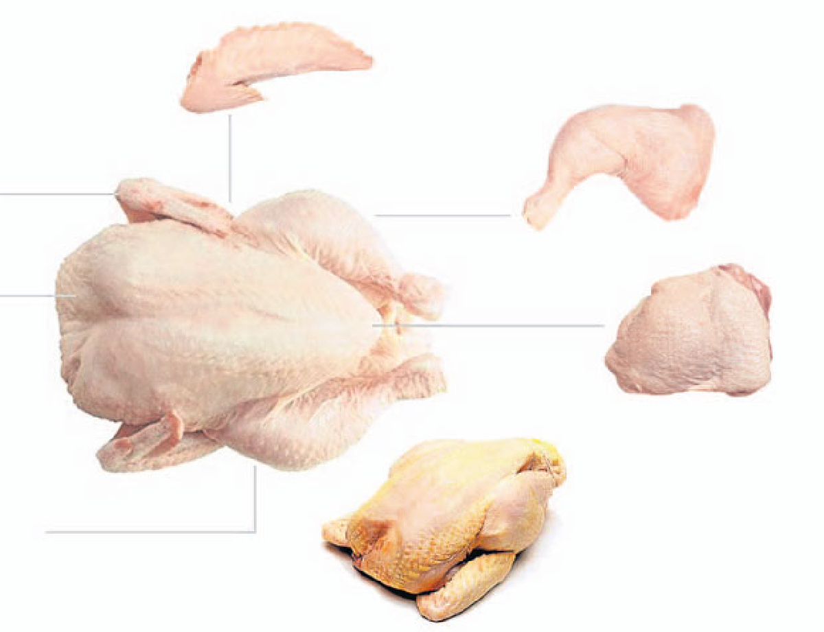 ‘ไก่’ ทำอะไรก็อร่อย ปลุกกระแส ‘ไก่พื้นเมืองไทย’ ‘ไก่’ ทำอะไรก็อร่อย ปลุกกระแส ‘ไก่พื้นเมืองไทย’