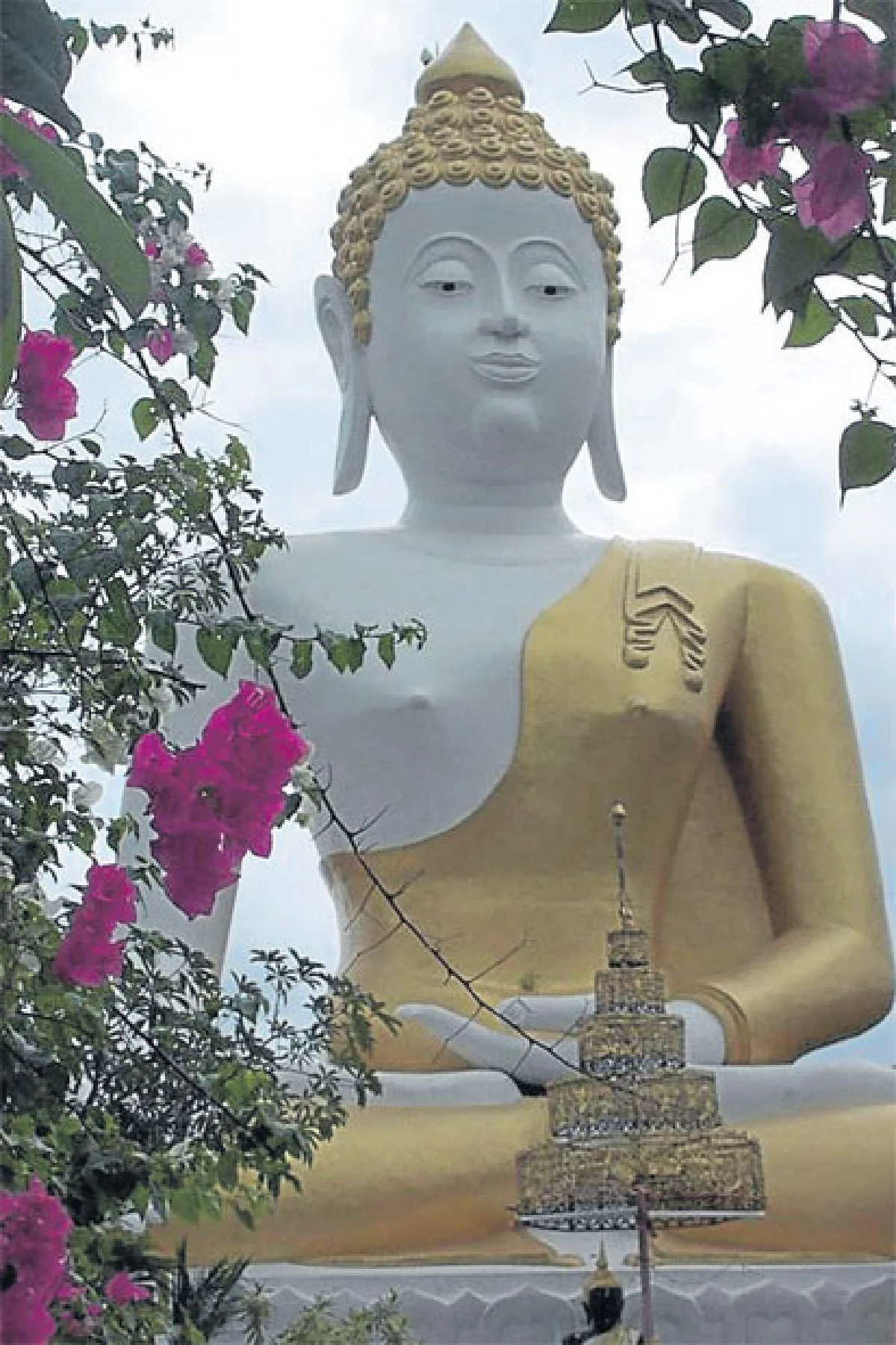 นิเวศวิทยาแนวจิตวิญญาณ ทางออกจากวิกฤตสิ่งแวดล้อม?