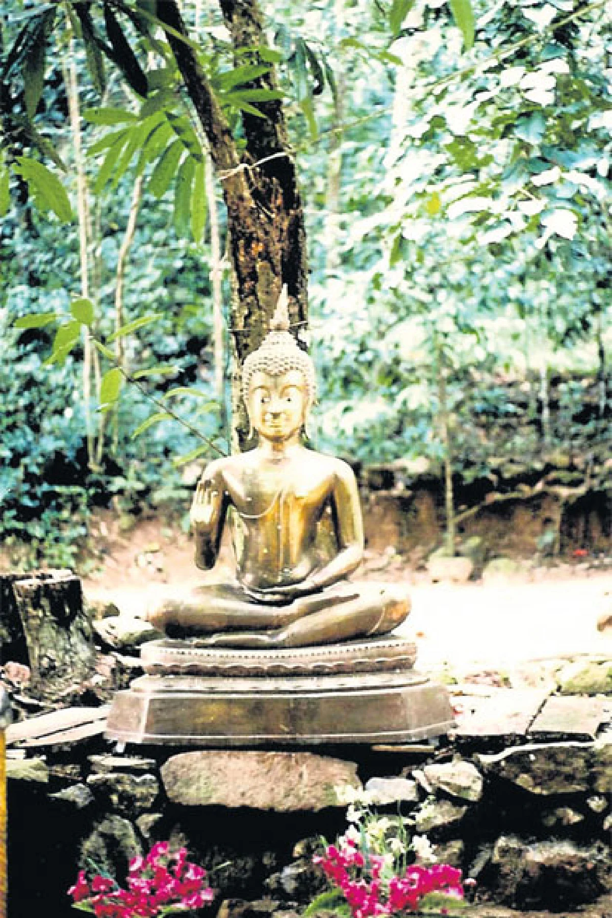 นิเวศวิทยาแนวจิตวิญญาณ ทางออกจากวิกฤตสิ่งแวดล้อม?