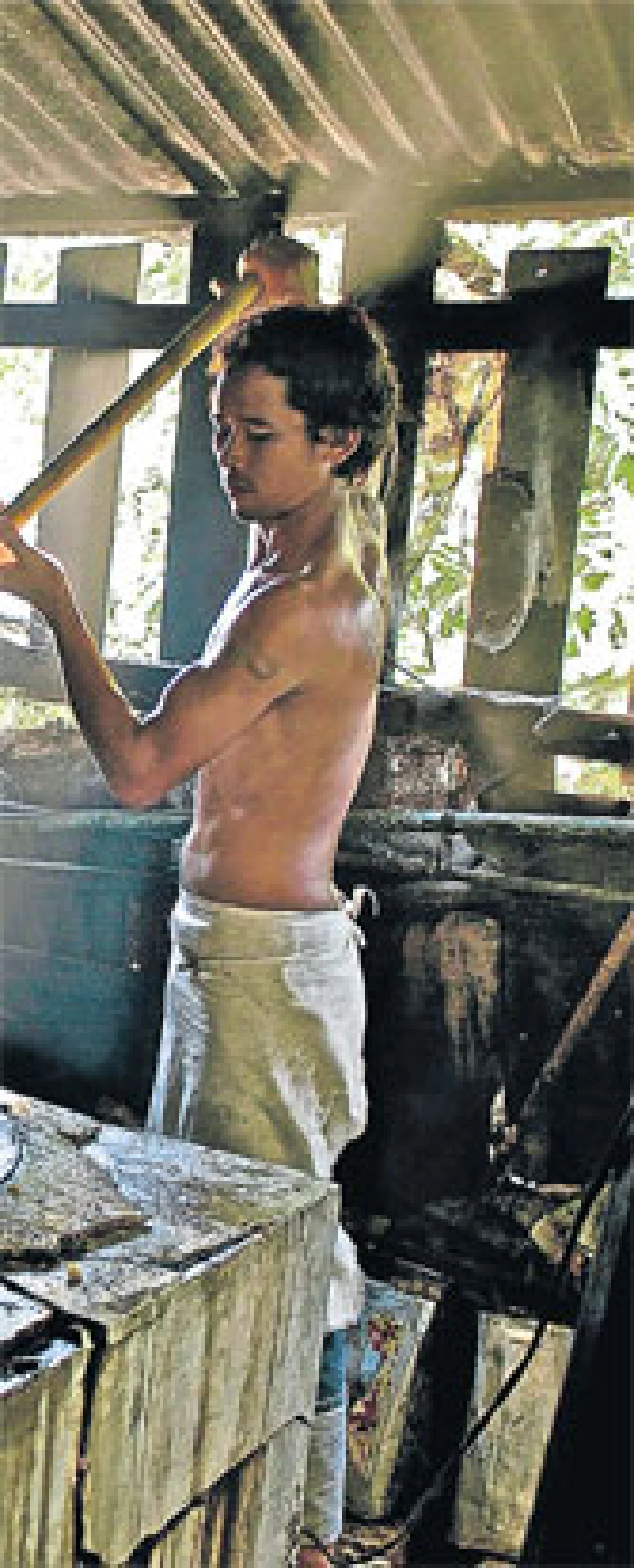 อาชีพดั้งเดิม