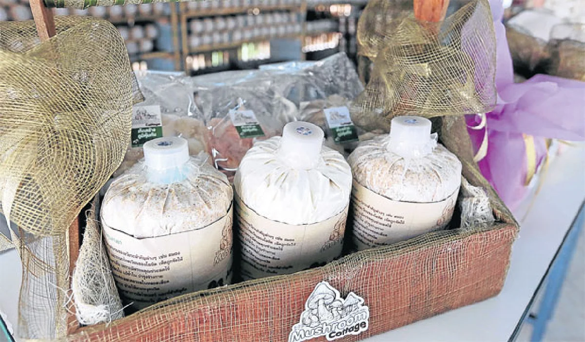 Mushroom Cottage Farm ความฝันของมนุษย์เงินเดือน