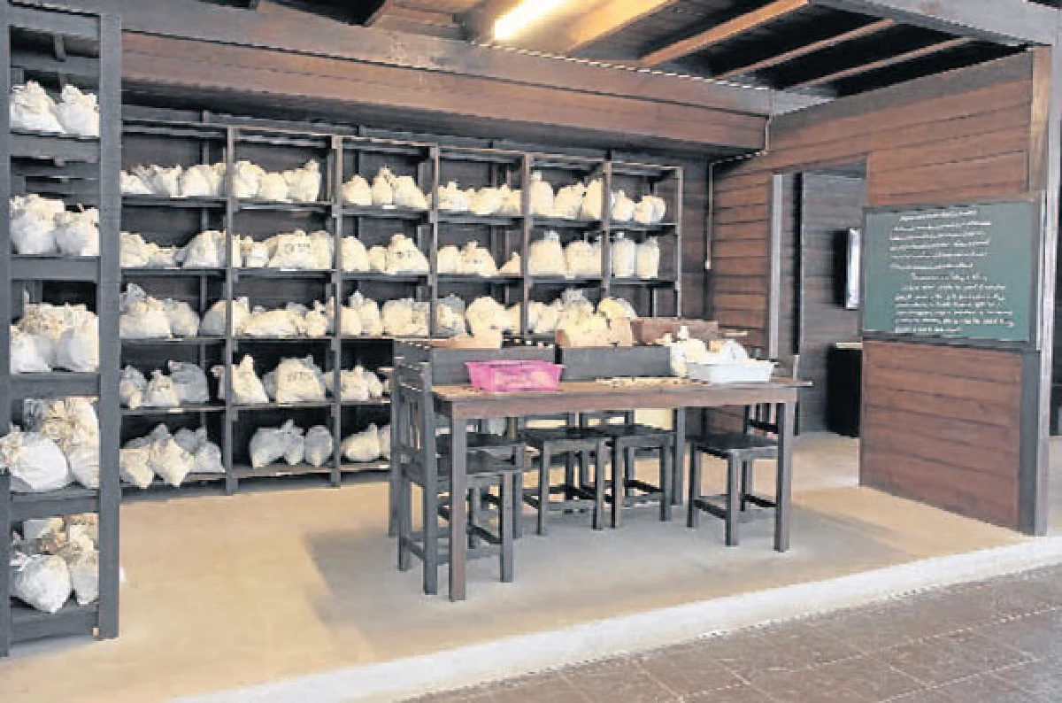 ‘พิพิธภัณฑ์บ้านเชียง’ แหล่งเรียนรู้อารยธรรมยุค 5,000 ปี