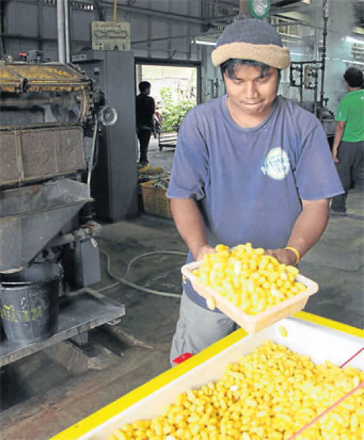 เรือนไหม-ใบหม่อน หัตถอุตสาหกรรมรักษ์โลก