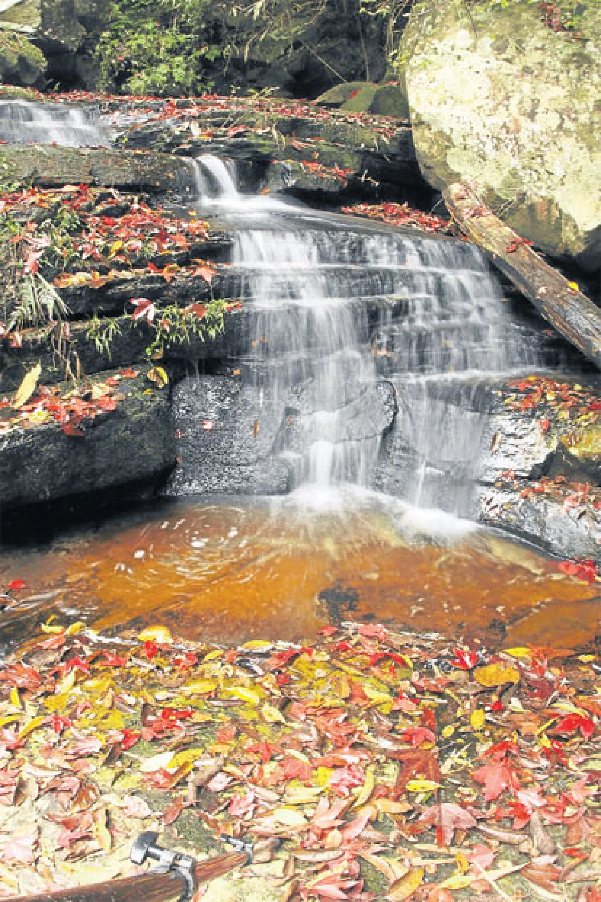 7 สิ่งมหัศจรรย์ในเมืองไทย ไม่ใหม่แต่เพิ่งรู้