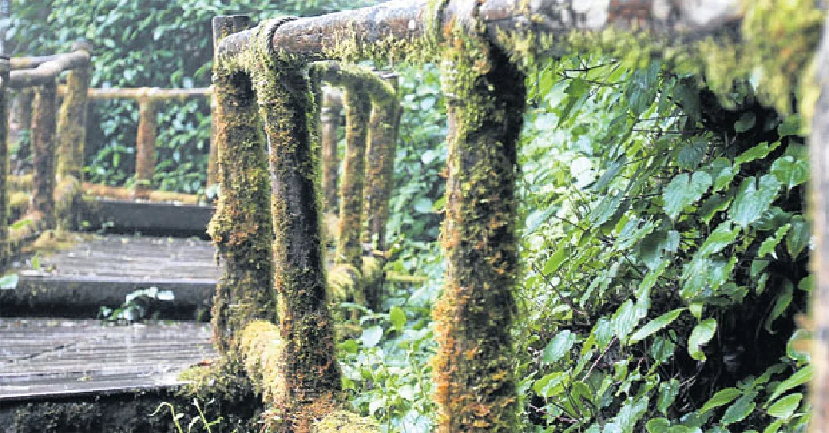 7 สิ่งมหัศจรรย์ในเมืองไทย ไม่ใหม่แต่เพิ่งรู้