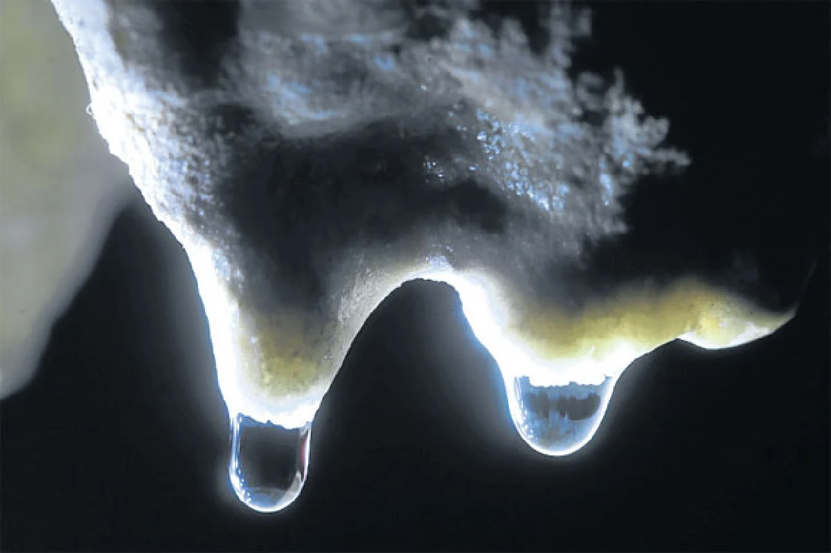 7 สิ่งมหัศจรรย์ในเมืองไทย ไม่ใหม่แต่เพิ่งรู้