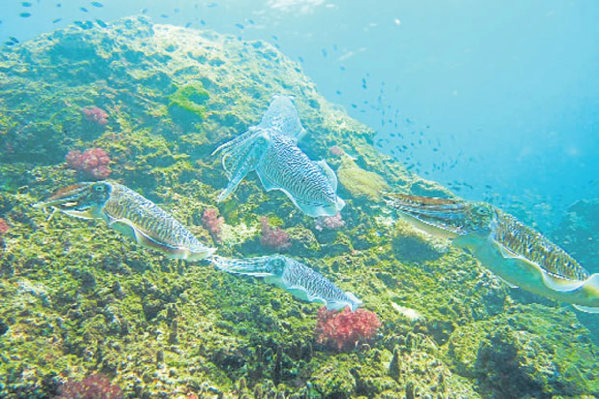 7 สิ่งมหัศจรรย์ในเมืองไทย ไม่ใหม่แต่เพิ่งรู้