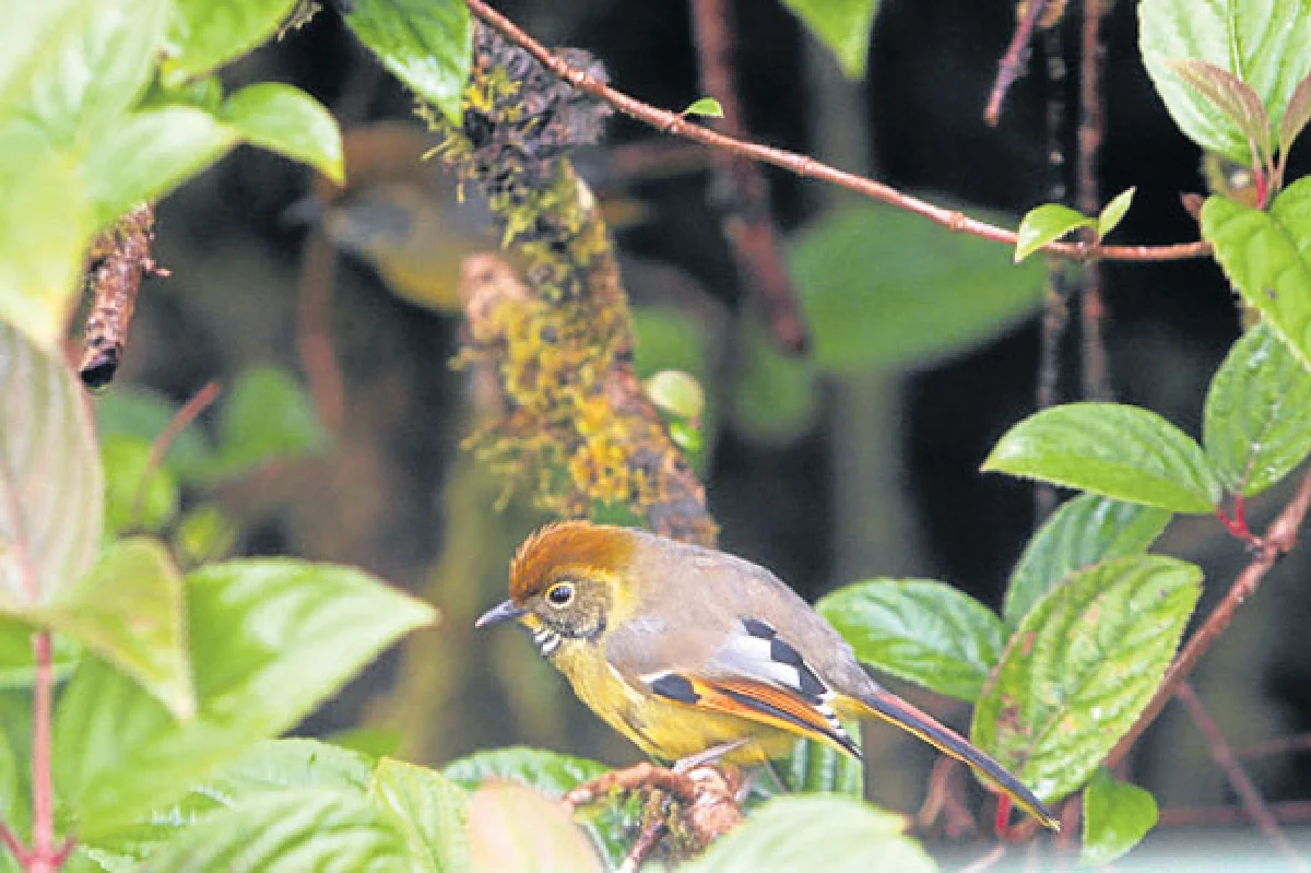 7 สิ่งมหัศจรรย์ในเมืองไทย ไม่ใหม่แต่เพิ่งรู้