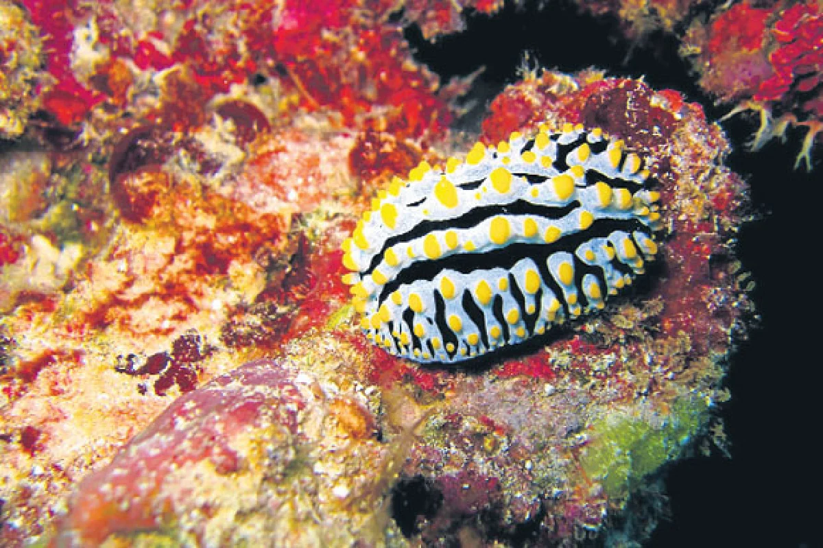 7 สิ่งมหัศจรรย์ในเมืองไทย ไม่ใหม่แต่เพิ่งรู้