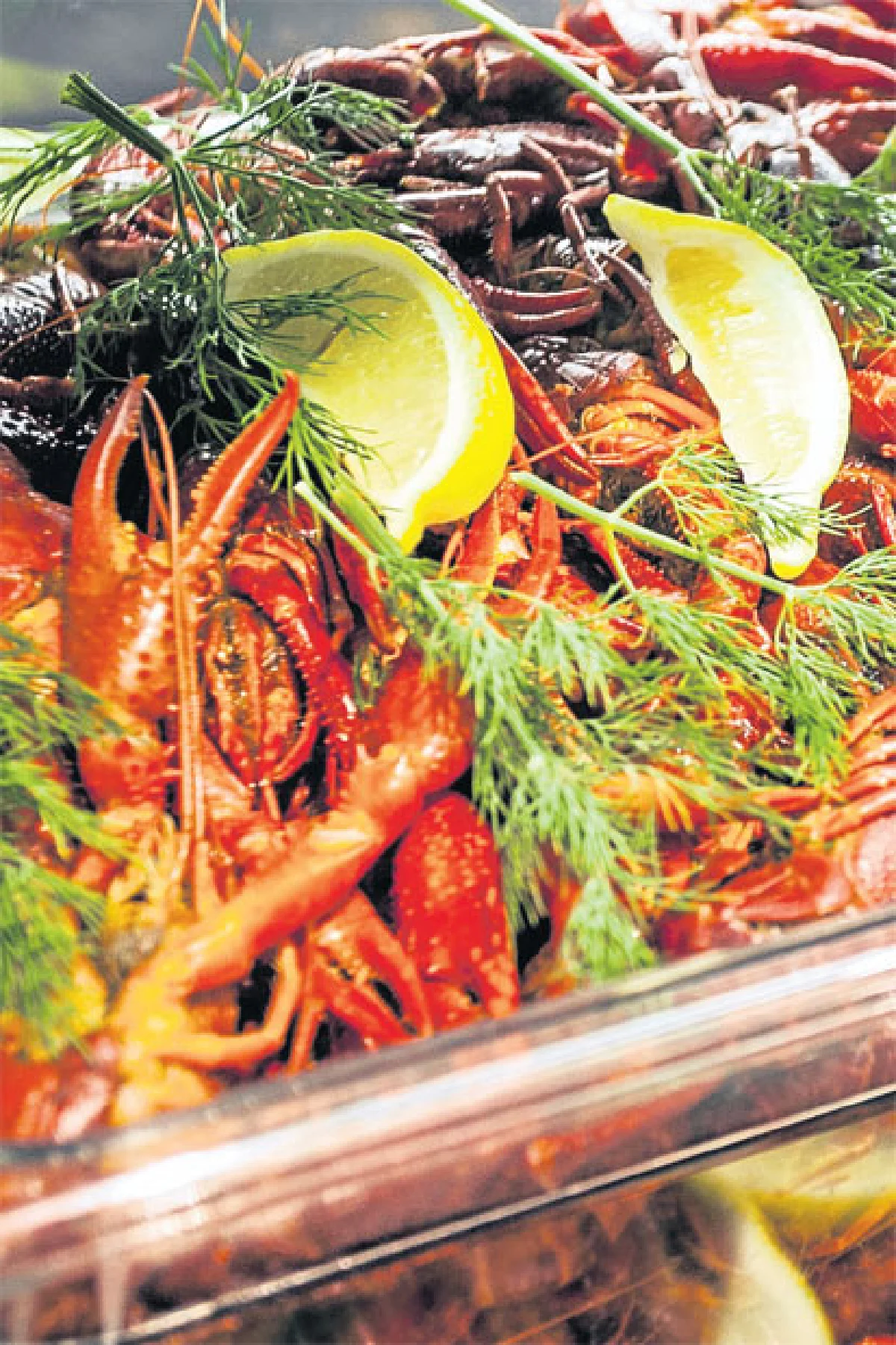 ปาร์ตี้เครย์ฟิช สีสันชีวิตสไตล์สวีเดน