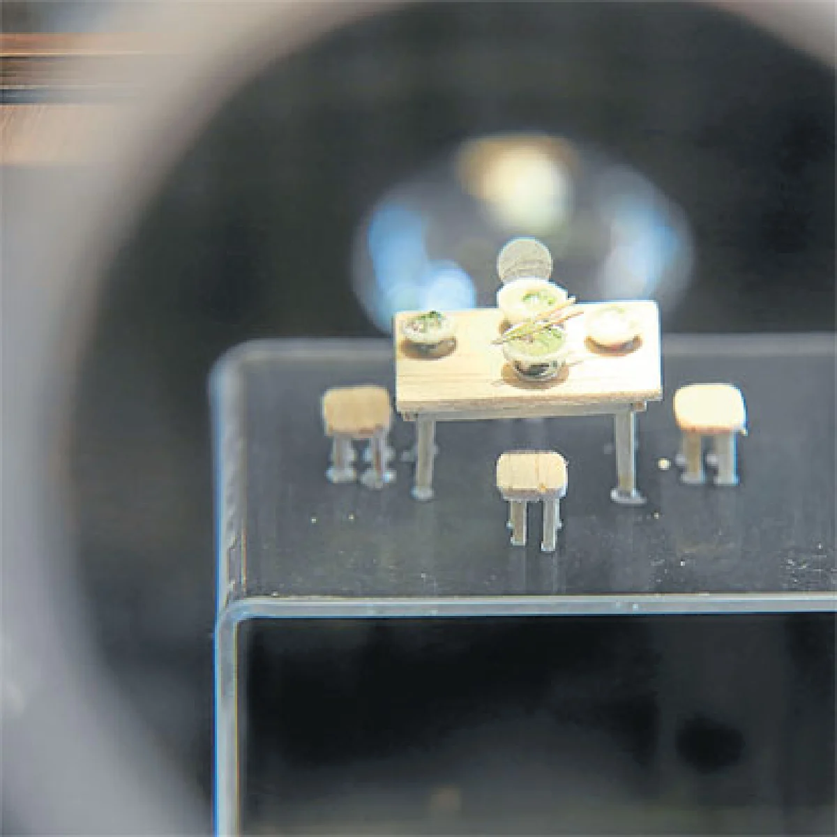 ตามหาดินขาว ตามล่าดินดำ