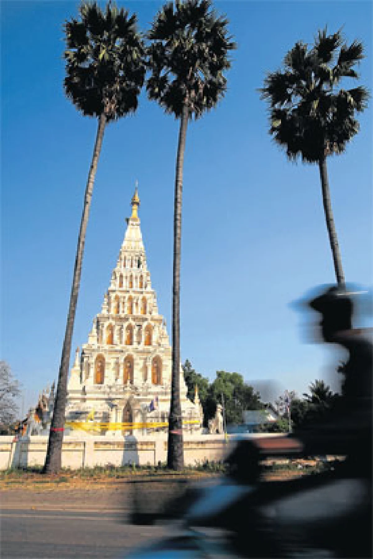 อดีตมีความหมาย ณ เวียงกุมกาม