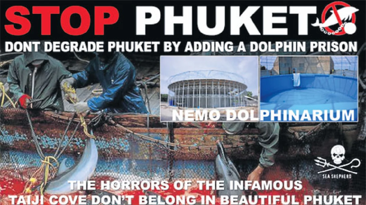 เบื้องหลังน่าเศร้าของ 'การแสดงโลมาแสนรู้'