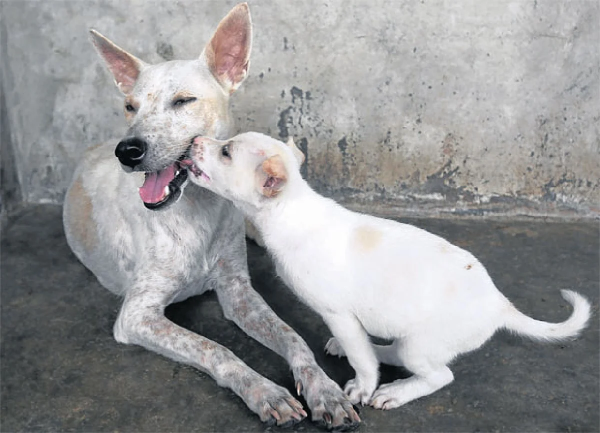 กันและกัน