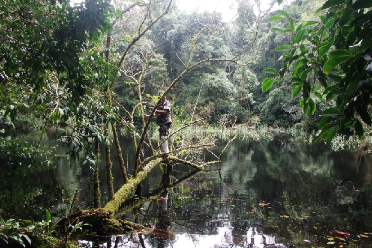 พบสระน้ำกลางป่าภูหินร่องกล้าหวังทำเส้นทางเที่ยว