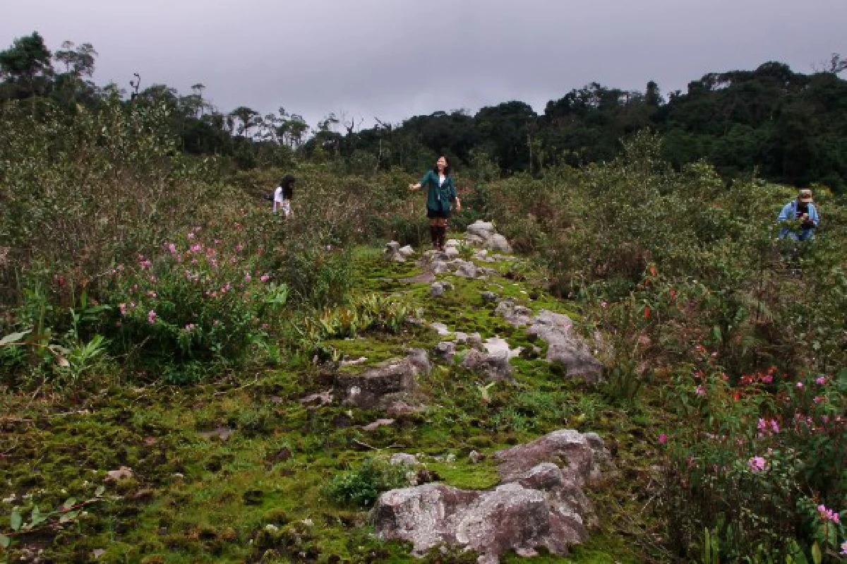 พบสระน้ำกลางป่าภูหินร่องกล้าหวังทำเส้นทางเที่ยว