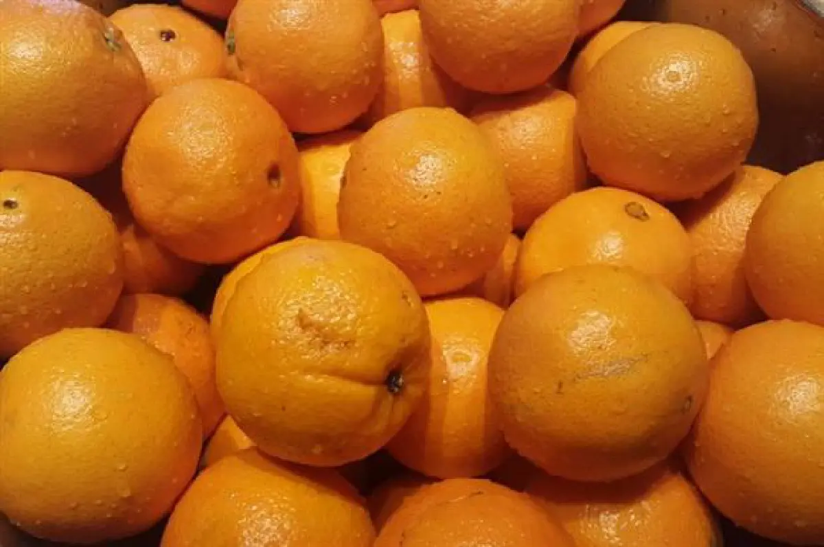 'ซัมซุง'เผยโฉมมือถือขอบโลหะหรู Galaxy Alpha (มีคลิป)