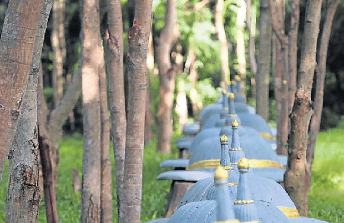 บ้านผ้า บ้านช้าง เที่ยวสองบ้านเมืองสุรินทร์