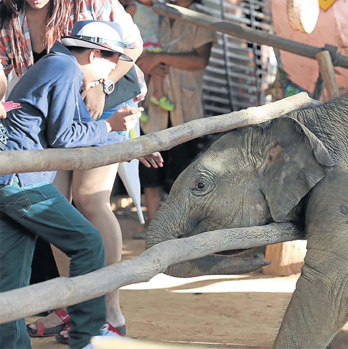 บ้านผ้า บ้านช้าง เที่ยวสองบ้านเมืองสุรินทร์