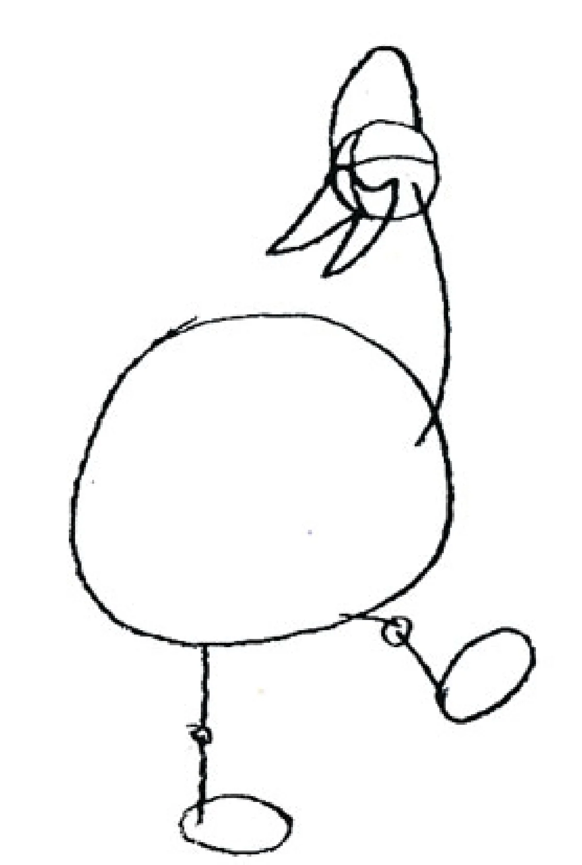 คาสโซวารี่ นักเลงแห่งป่าลึก