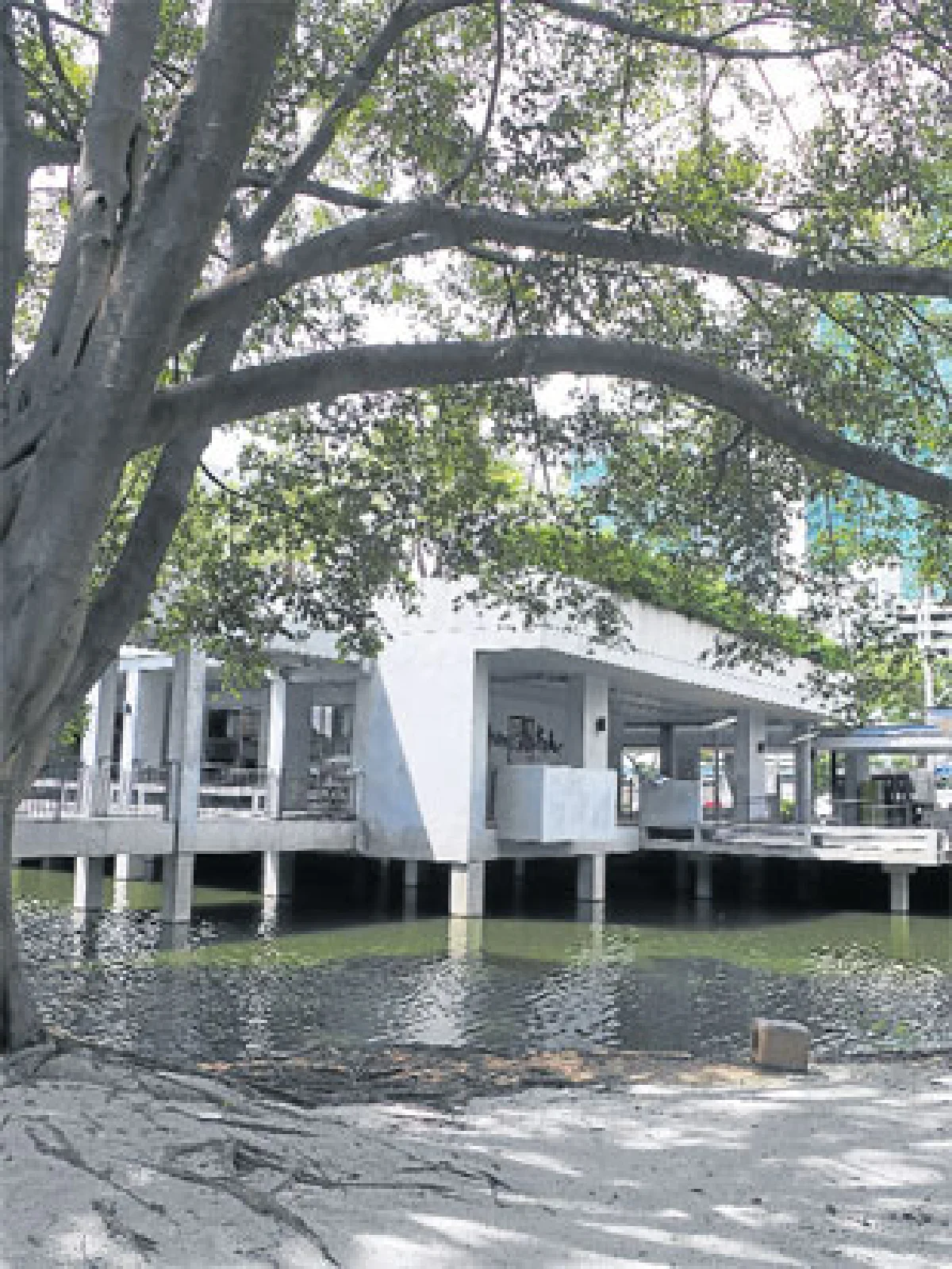 นิพพานชิมลอง ณ สวนโมกข์