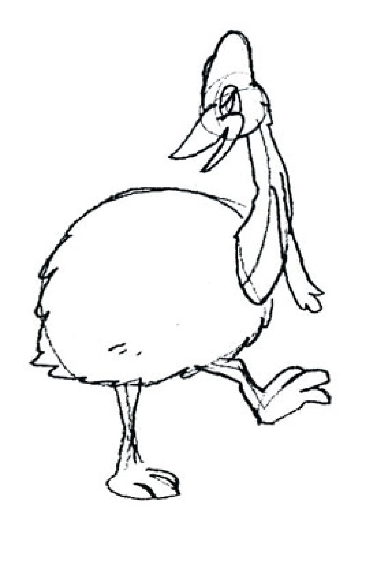 คาสโซวารี่ นักเลงแห่งป่าลึก