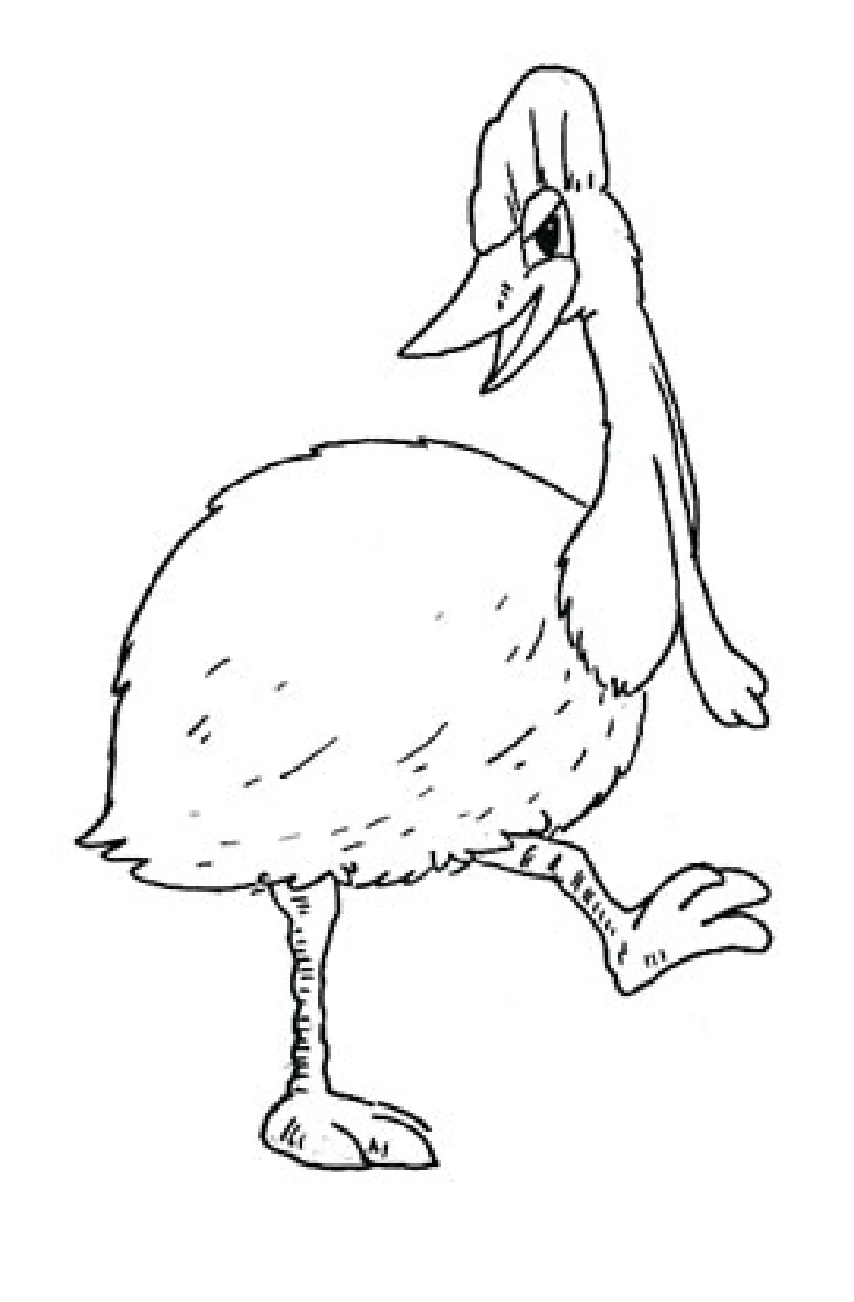 คาสโซวารี่ นักเลงแห่งป่าลึก